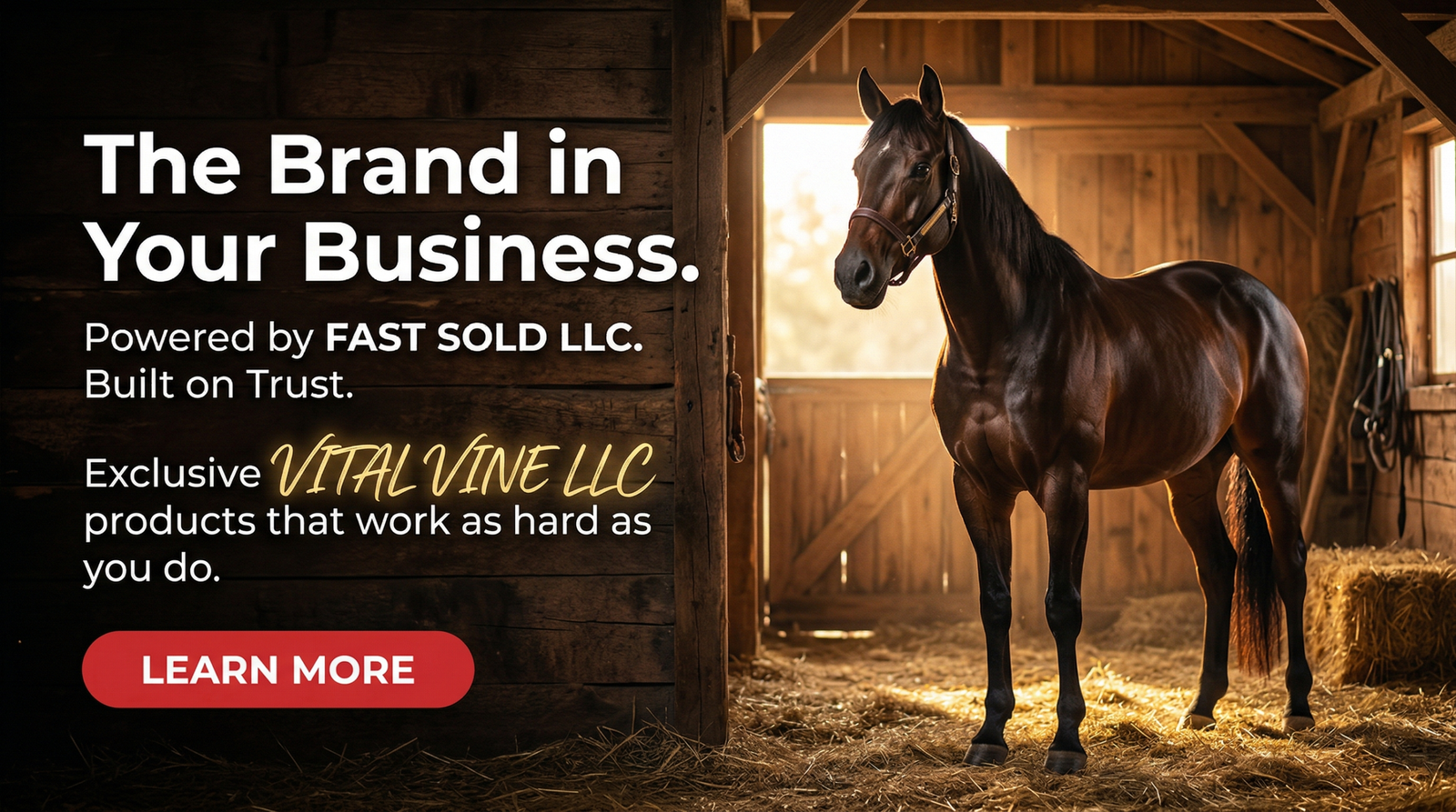 Gemini_Generated_Image_yuz9nzyuz9nzyuz9 (1)